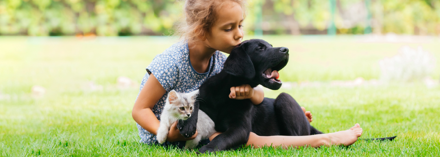 human toxocariasis banner