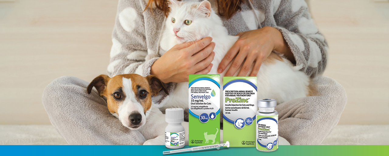 home page diabetes image