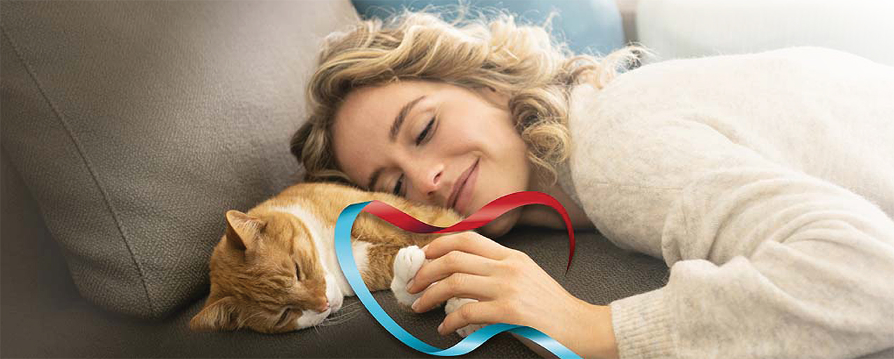 hypertension home page banner