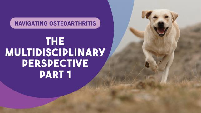 Navigating Osteoarthritis: What are the benefits of a multimodal treatment approach in osteoarthritis?
