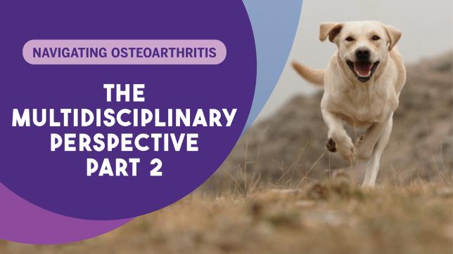 Navigating Osteoarthritis: What does the multidisciplinary team look like?